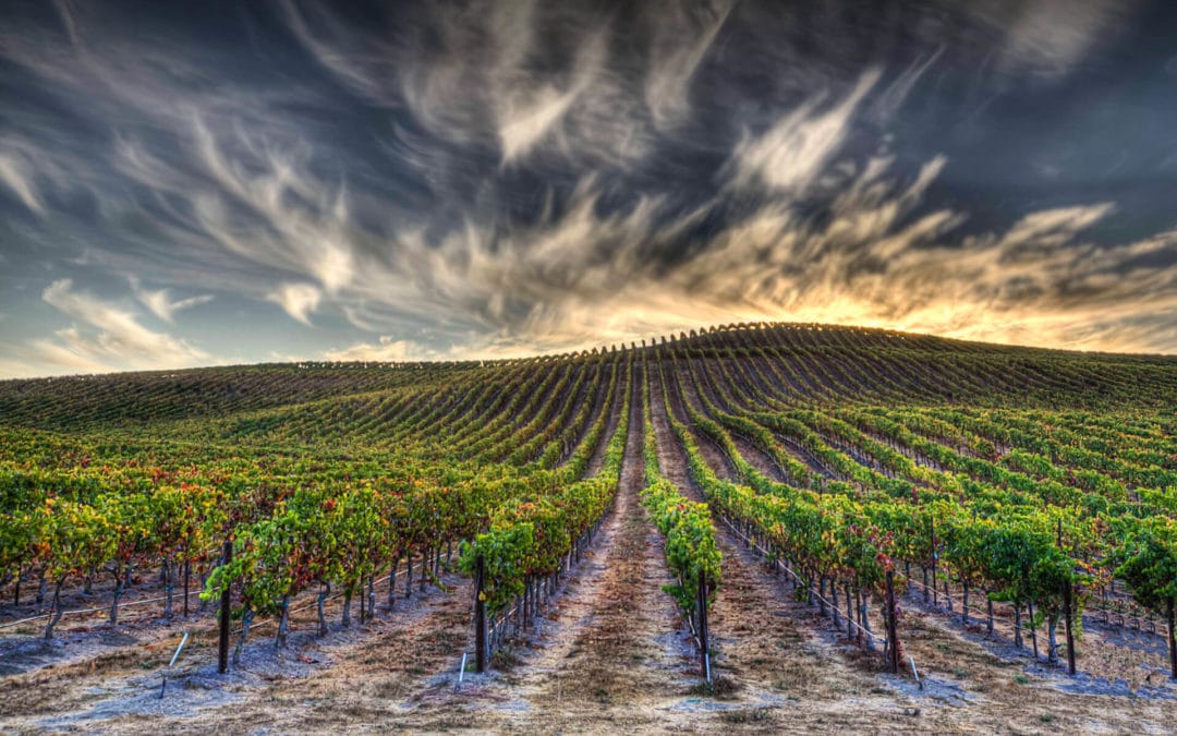 hp napa valley winery 4