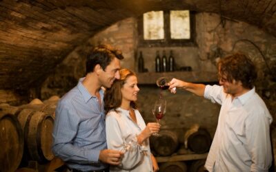Romantic Wine Tasting in Napa Valley: How to Plan the Perfect Couple’s Day